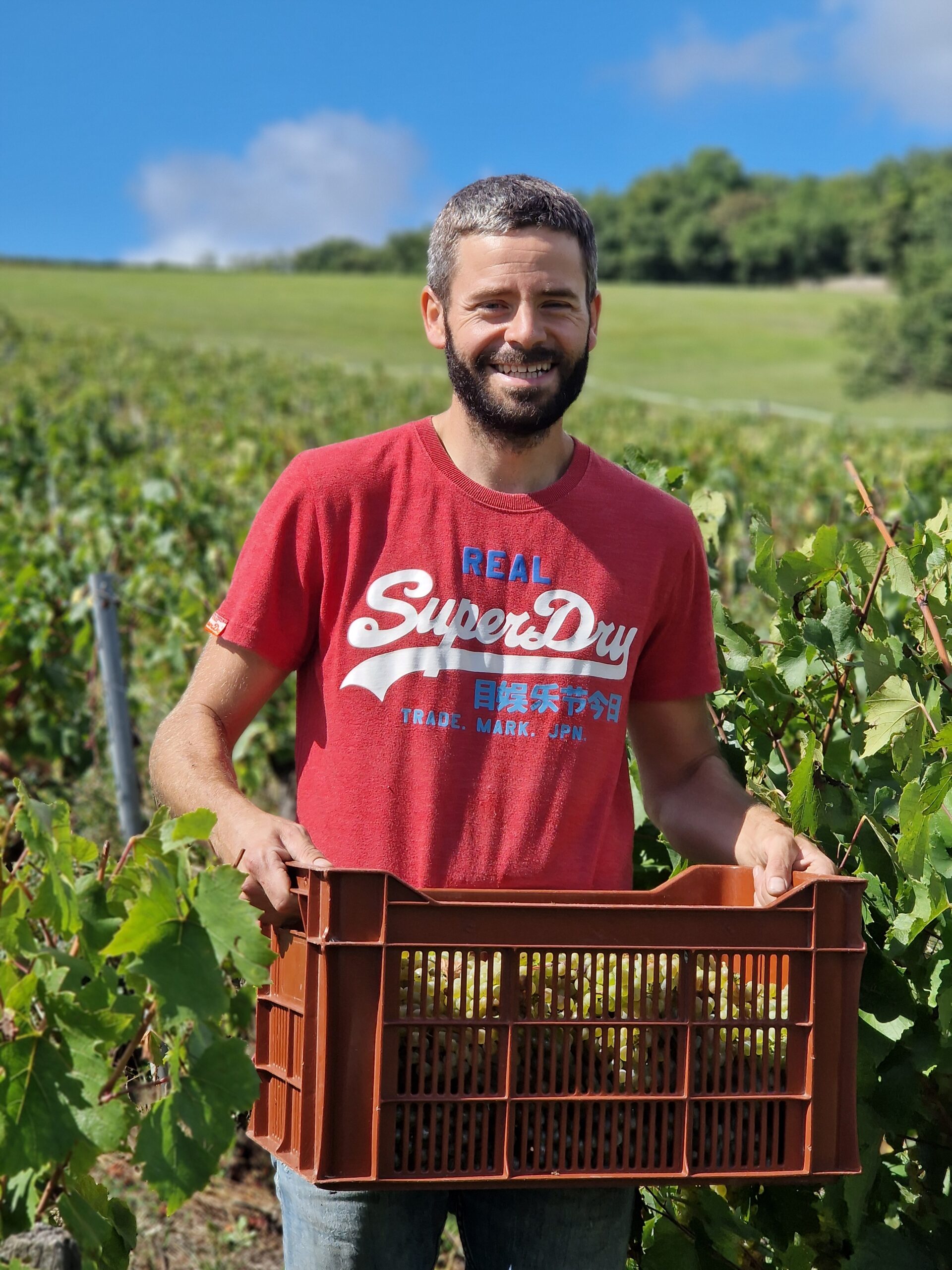 lebeau Simon vigneron indépendant agriculture biologique