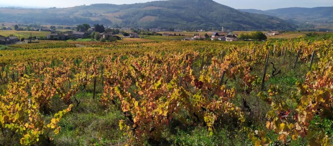 Photo du Domaine Lebeau